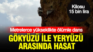 haber-gorseli-1786526130523