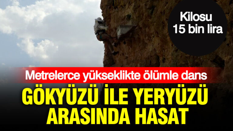 haber-gorseli-1786526130523