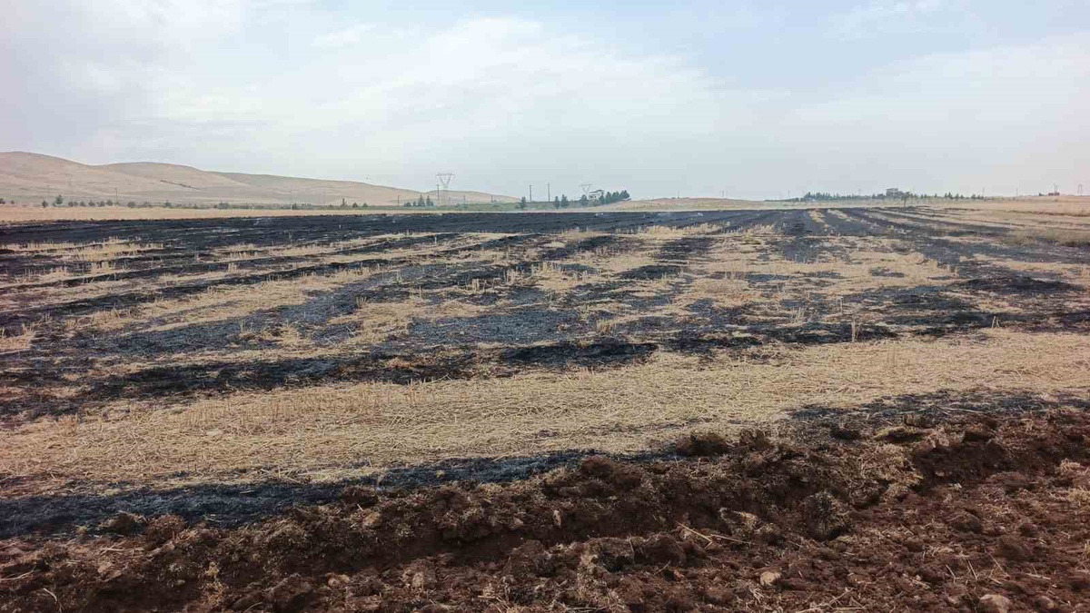 Siirt Kurtalan’da anız ateşi büyümeden söndürüldü, yakana para cezası kesildi